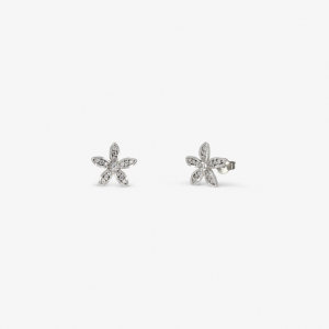 Pendientes de Novia Leonor