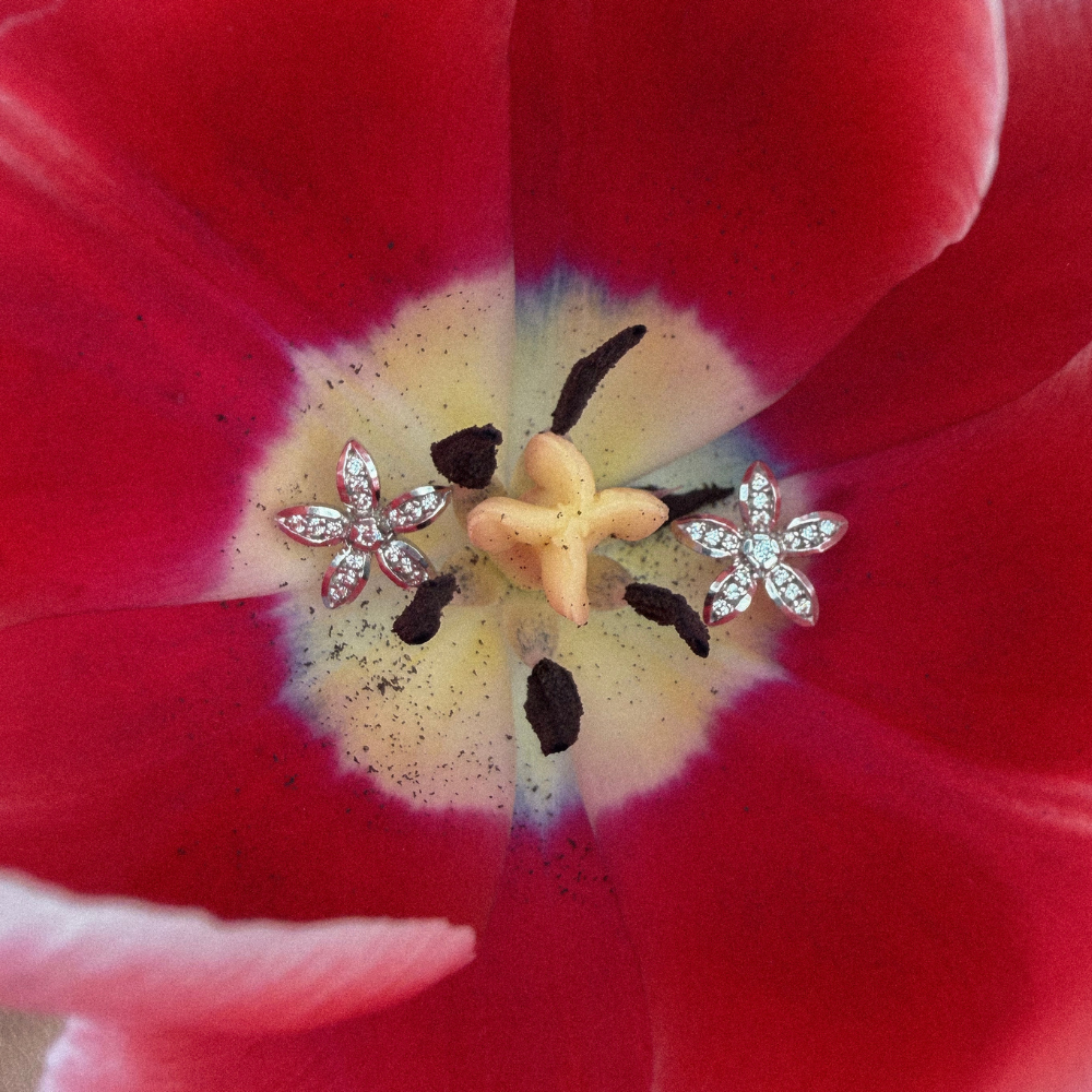 Pendientes de Novia Leonor