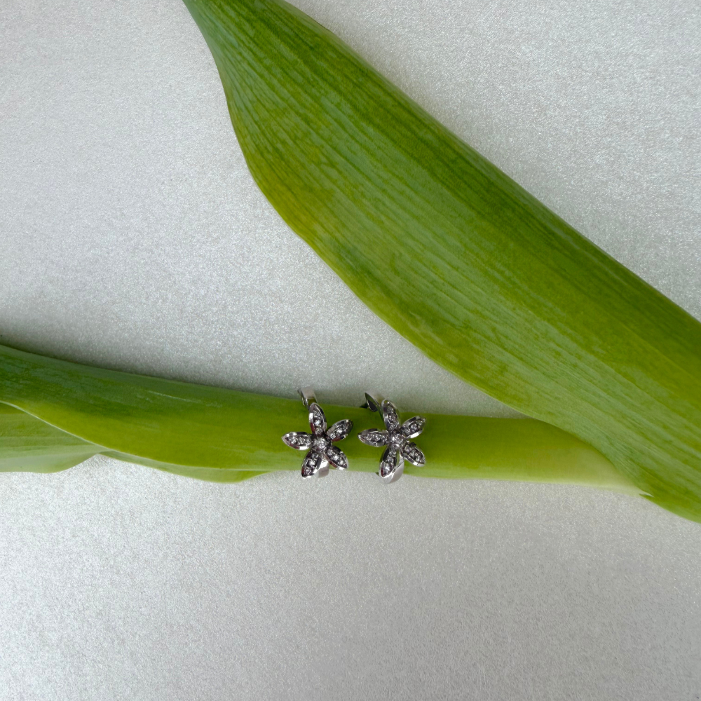 Pendientes de Novia Elvira