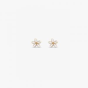 Pendientes Blossom XS