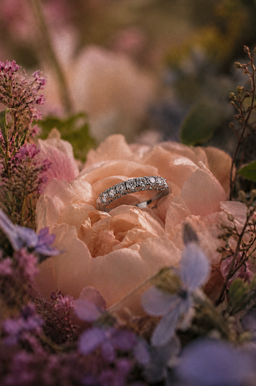 Anillos de compromiso