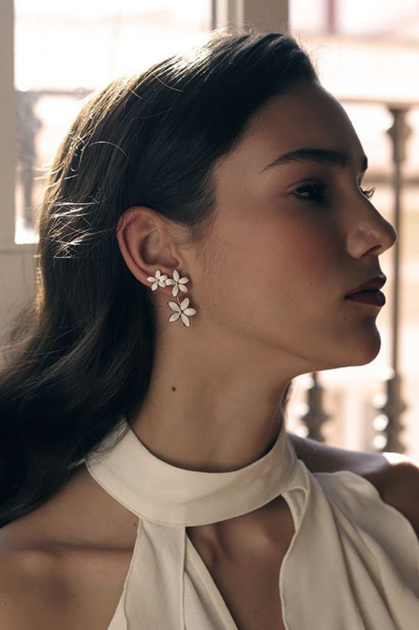 Pendientes Trepadores
